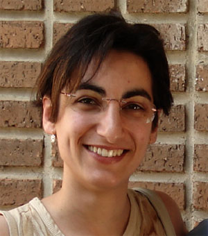 This is an example for an image