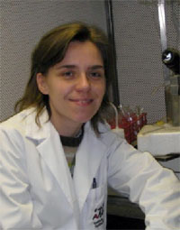 This is an example for an image