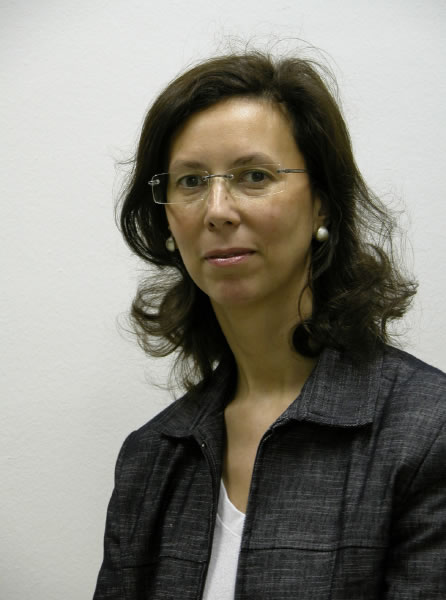 This is an example for an image