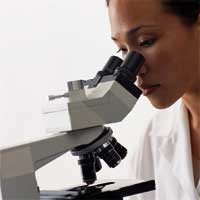 This is an example for an image